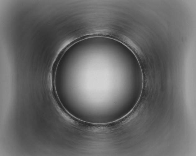 X0000112931079200908241255