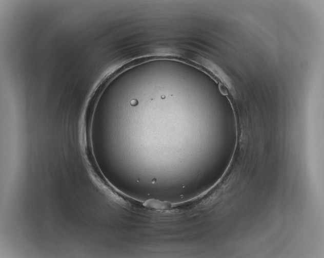 X0000112931080200908241255