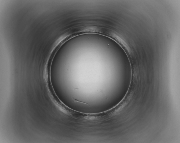 X0000112931082200908241255