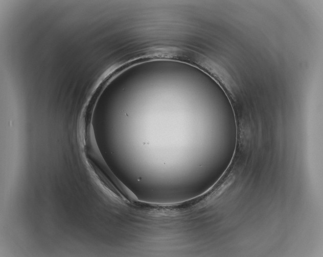 X0000112931083200908241255