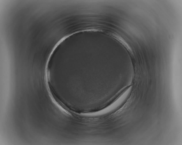X0000112931084200908241255