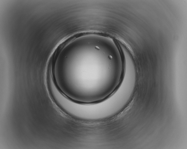 X0000112931085200908241255