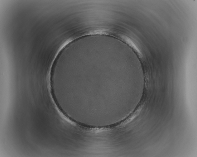 X0000112931087200908241255