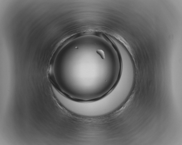 X0000112931089200908241255
