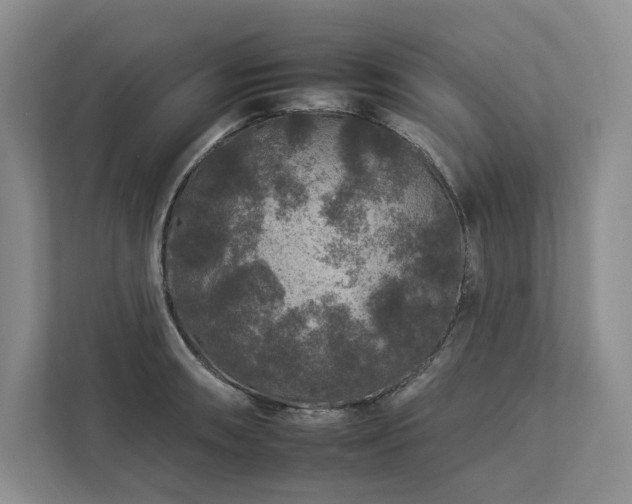 X0000112931090200908241255