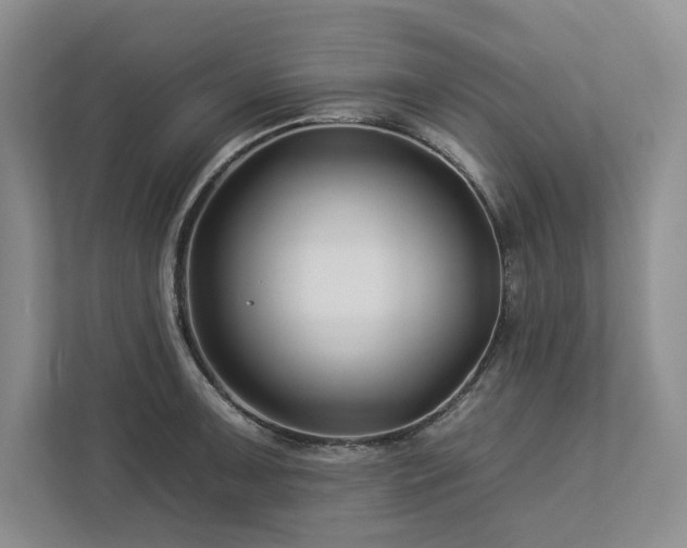 X0000112931091200908241255