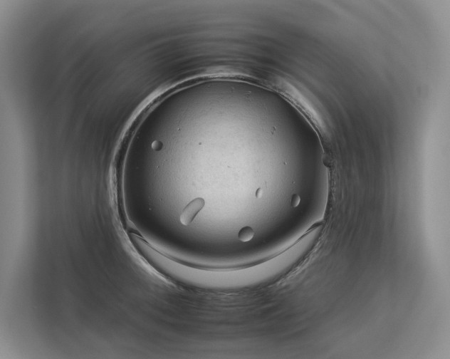 X0000112931092200908241255