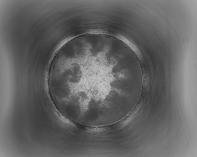 X0000112931094200908241255