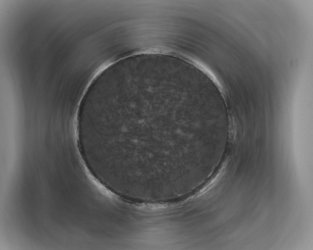 X0000112931095200908241255
