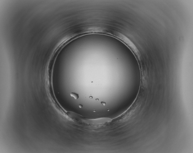 X0000112931096200908241255