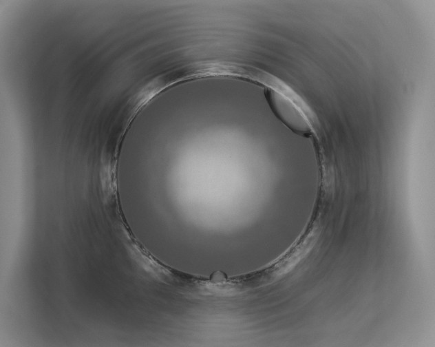 X0000112931097200908241255