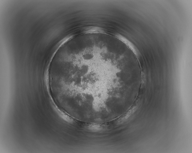 X0000112931098200908241255
