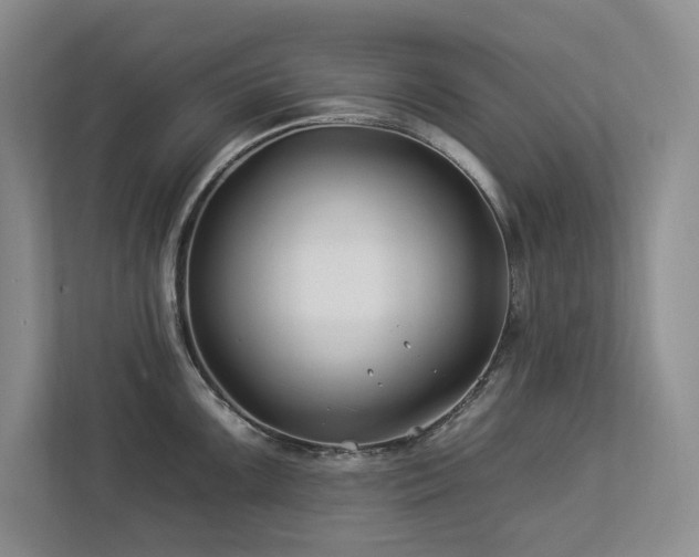 X0000112931099200908241255