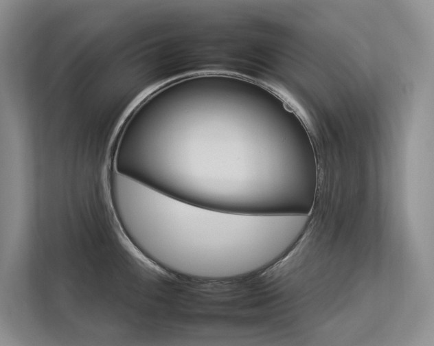 X0000112931100200908241255