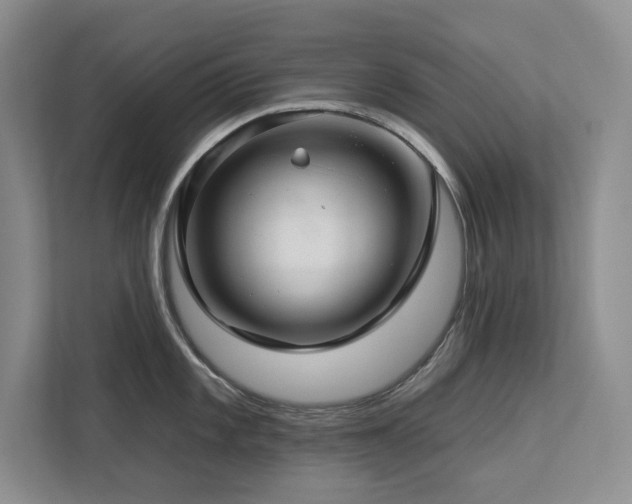 X0000112931101200908241255