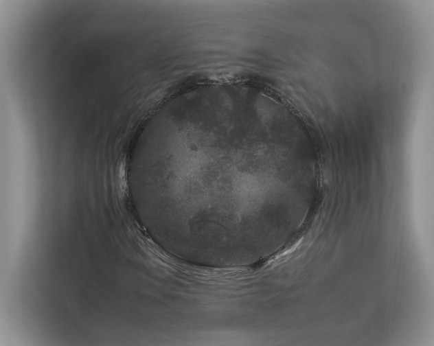 X0000112931106200908241255