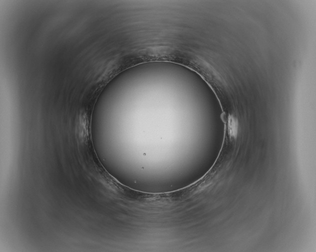 X0000112931107200908241255