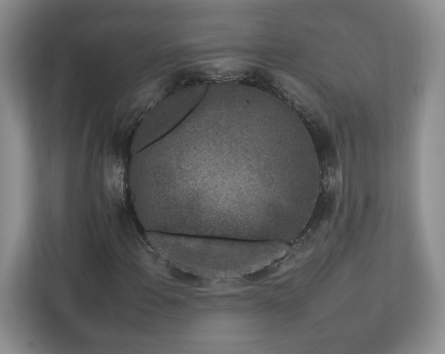 X0000112931108200908241255