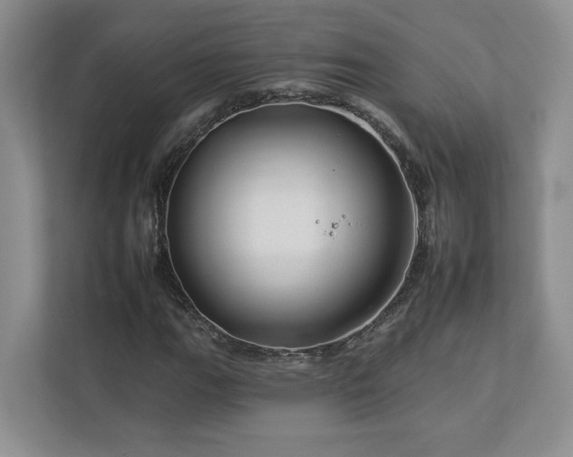 X0000112931111200908241255