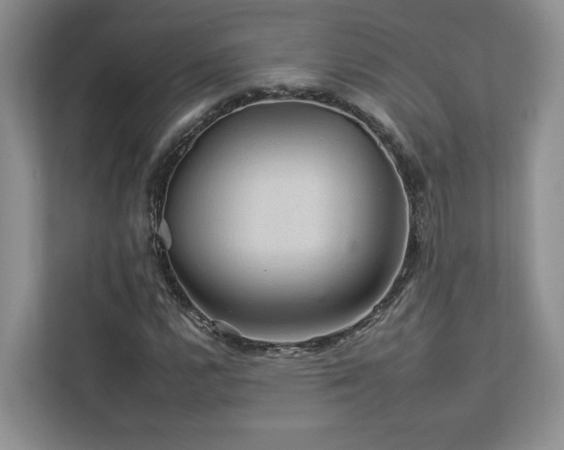 X0000112931112200908241255
