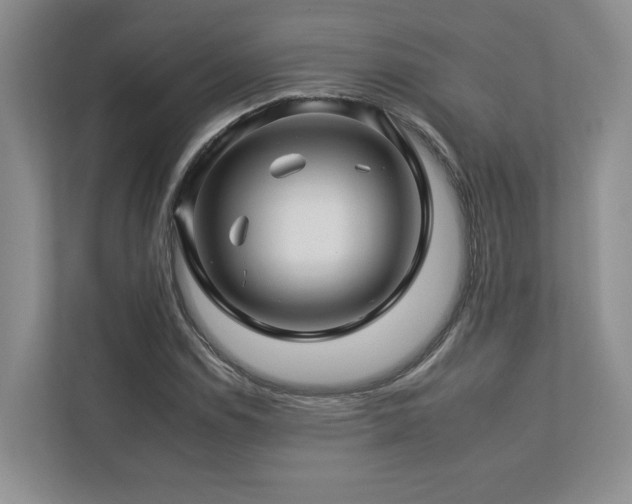 X0000112931114200908241255