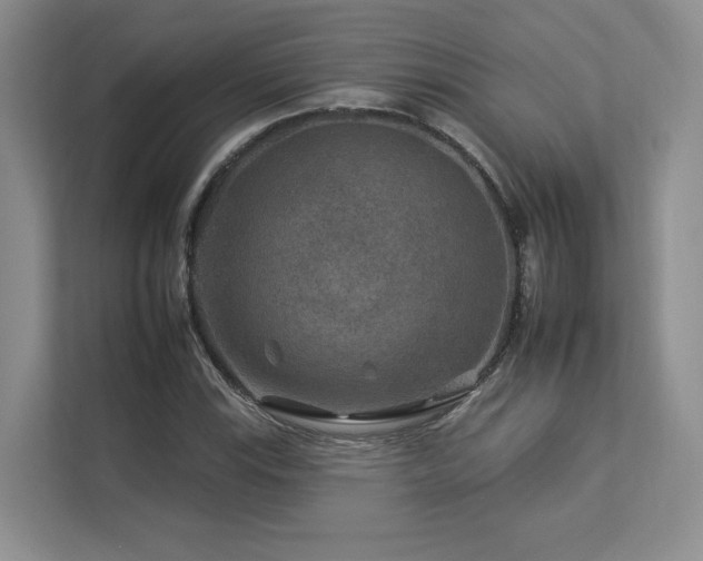 X0000112931115200908241255