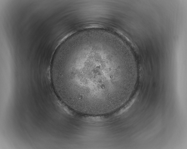 X0000112931121200908241255