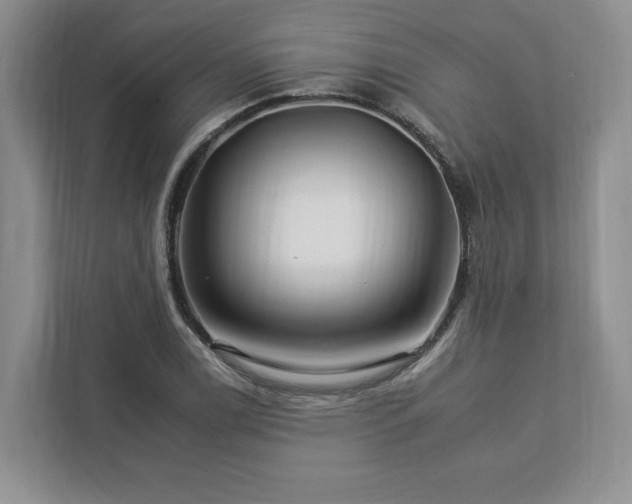 X0000112931122200908241255
