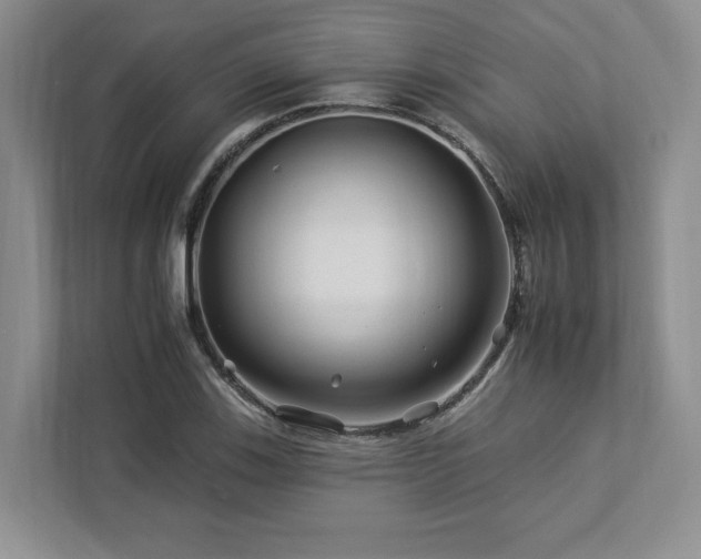 X0000112931123200908241255