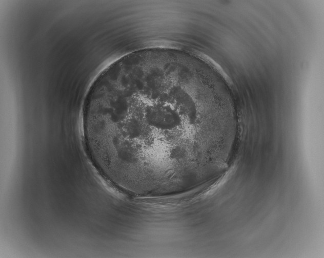X0000112931125200908241255