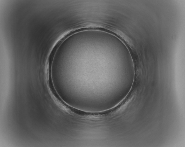 X0000112931126200908241255