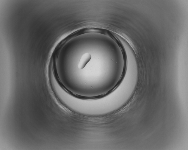 X0000112931128200908241255