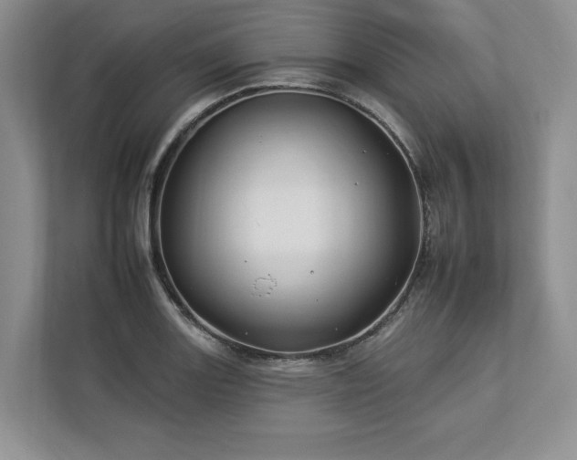 X0000112931131200908241255
