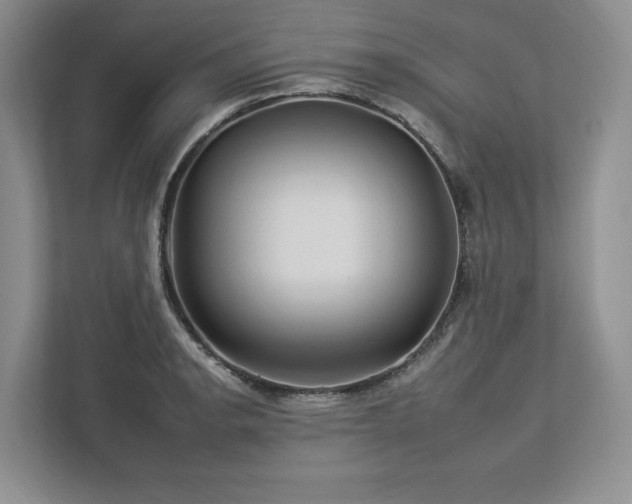 X0000112931134200908241255