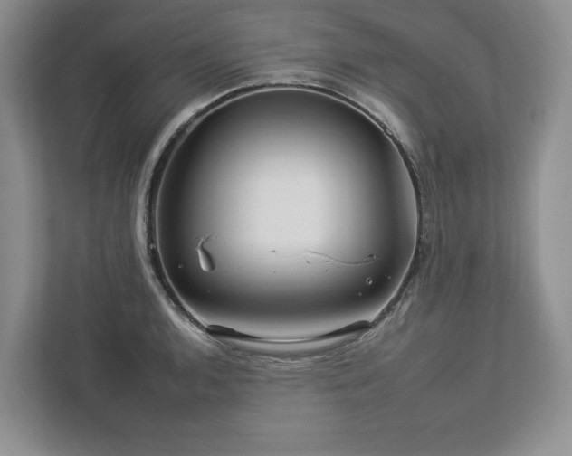 X0000112931136200908241255