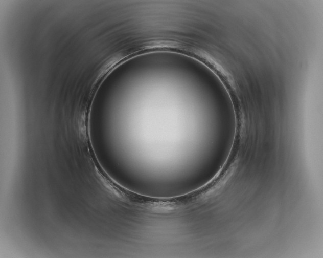 X0000112931137200908241255