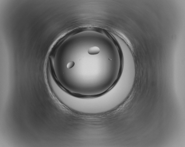 X0000112931138200908241255