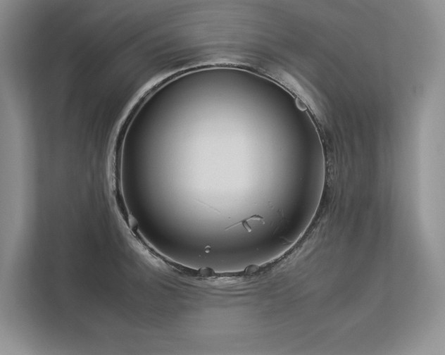 X0000112931140200908241255