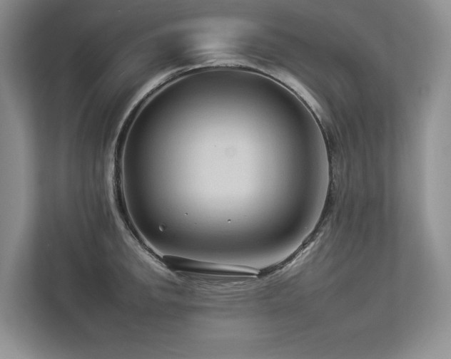 X0000112931142200908241255