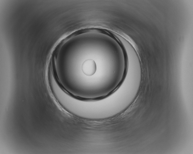 X0000112931144200908241255