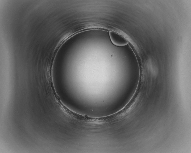 X0000112931145200908241255