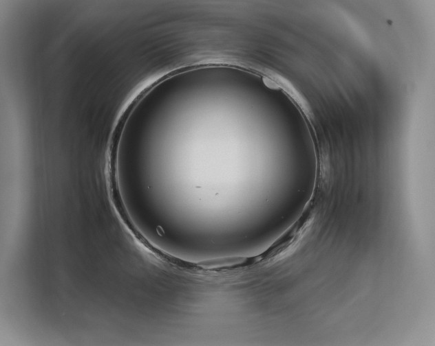 X0000112931149200908241255
