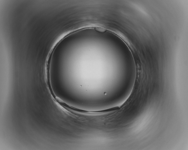 X0000112931151200908241255