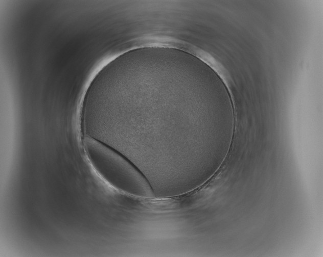 X0000112931152200908241255