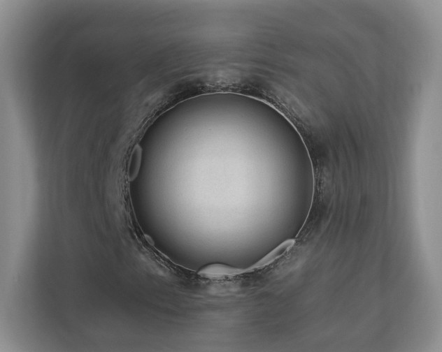 X0000112931153200908241254