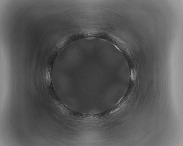 X0000112931155200908241254