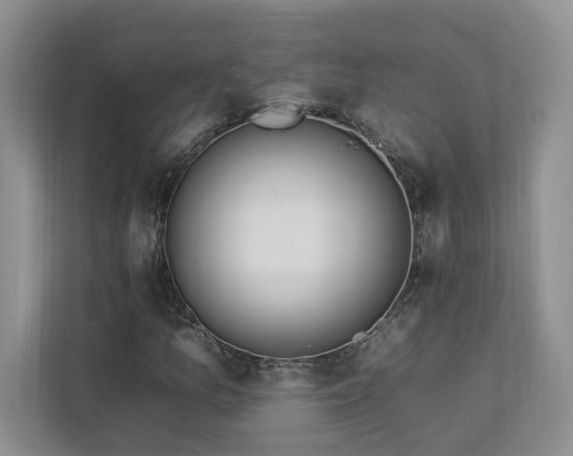 X0000112931157200908241254