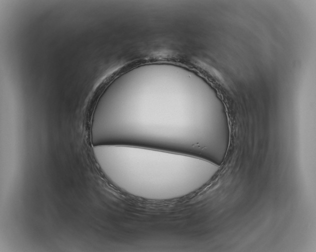 X0000112931160200908241254