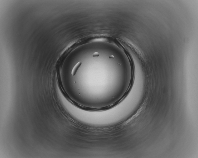X0000112931162200908241254