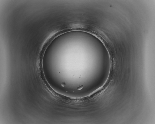 X0000112931164200908241254